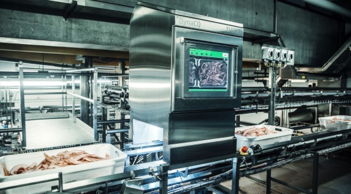 Product sorting plastic detection